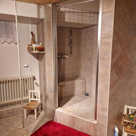 Grosses Gemuetliches Zimmer Mit Eigener Dusche Und Sauna Auf Wunsch Rheinstetten Ngoại thất bức ảnh